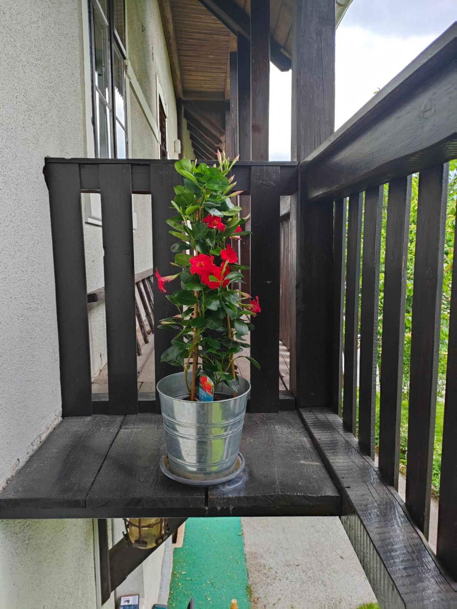 Apartment Lidija Bled Kültér fotó